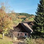 Waldblick *