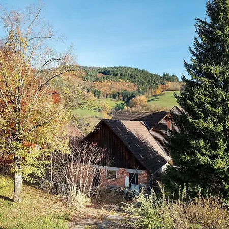 Waldblick *