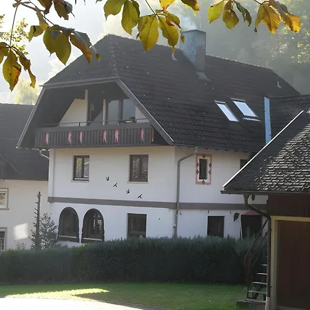 Waldblick Apartament