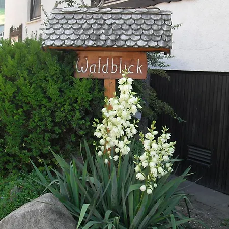 Waldblick Apartamento *