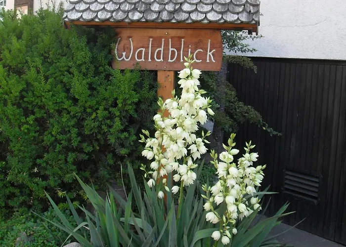 Waldblick Appartement *